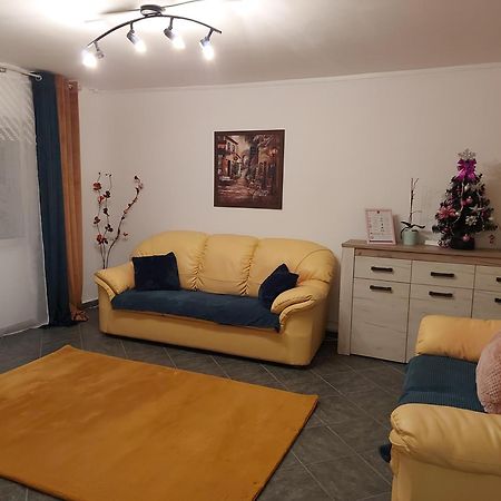 ブラショフCentral Lala Apartamentアパートメント エクステリア 写真