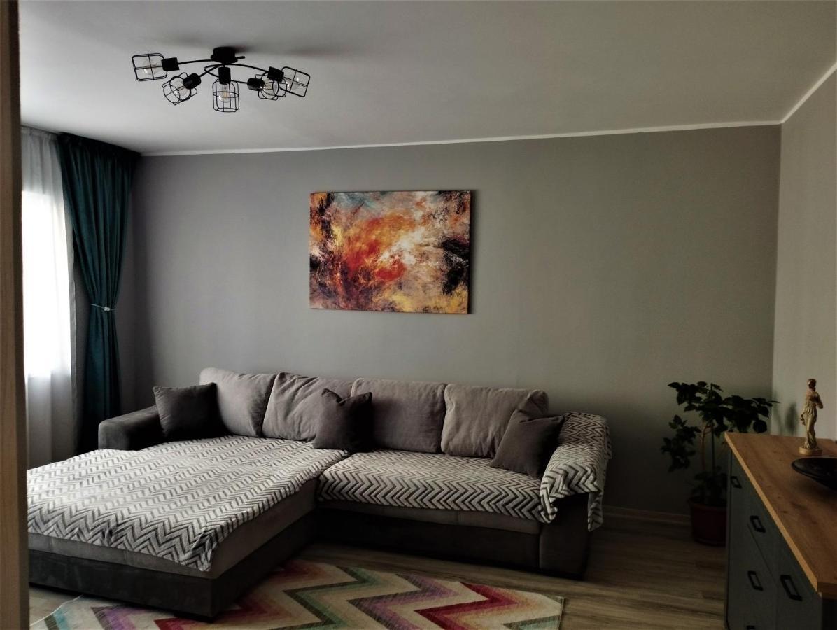 ブラショフCentral Lala Apartamentアパートメント エクステリア 写真