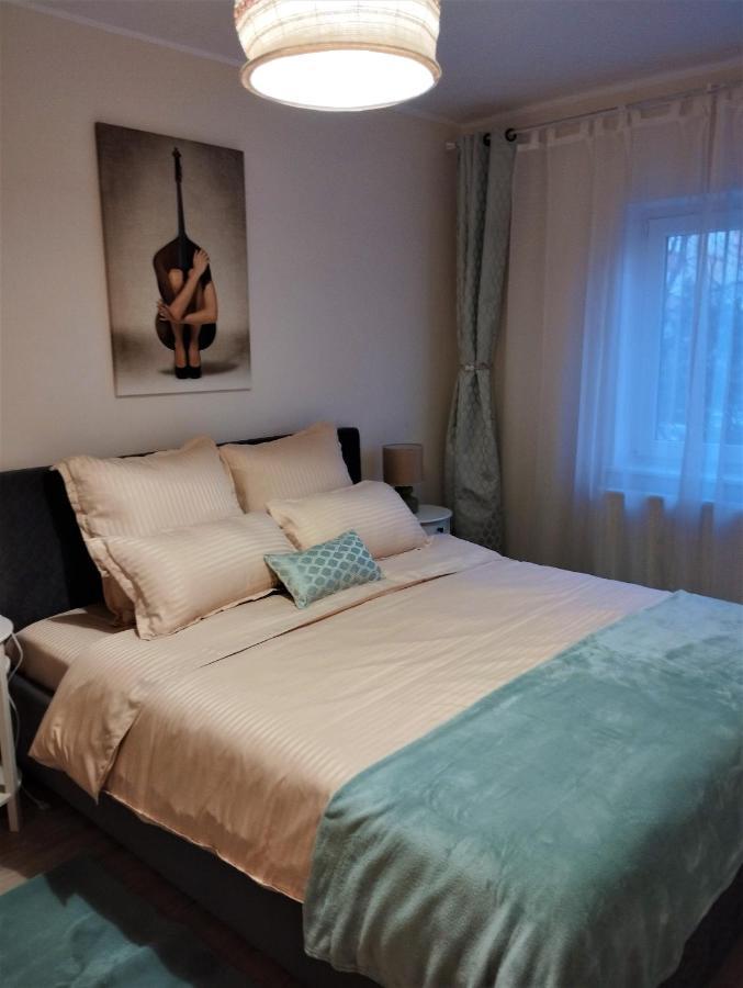 ブラショフCentral Lala Apartamentアパートメント エクステリア 写真